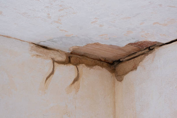 Best Crawl Space Water Damage Solutions in Shelley, ID